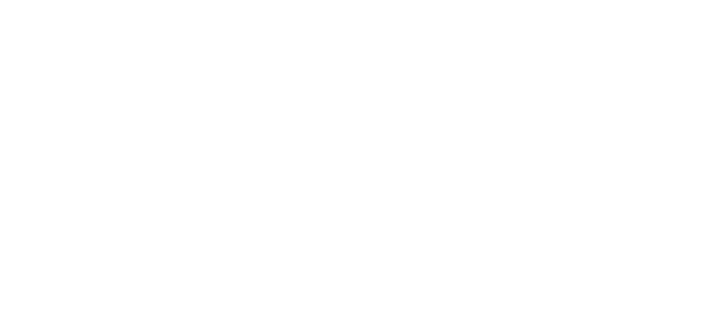Springsound logo white copy